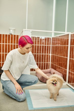 trabajador de hotel de mascotas perro tatuado acostumbrando pomeranian spitz a orinar almohadilla en un alojamiento cómodo