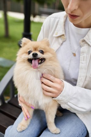 partial view of woman cuddling beloved pomeranian spitz on bench in park, peaceful leisure