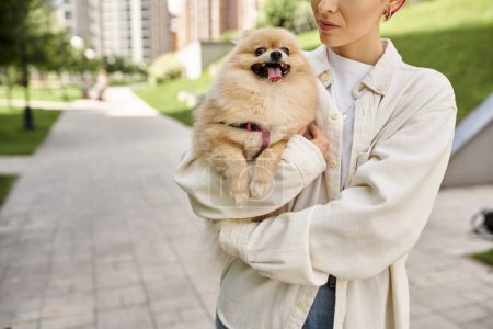 cropped view of woman with pampered pomeranian spitz in hands walking on urban street, joyful moment