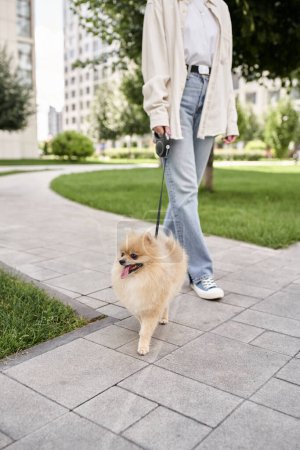 cropped view of woman walking with loveable pomeranian spitz on roulette leash, urban lifestyle