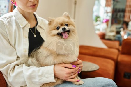 cropped view of woman sitting in pet lobby of pet hotel with pomeranian spitz sticking out tongue