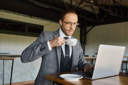 concentrated businessman with glasses and tie in smart suit drinking tea while working on laptop