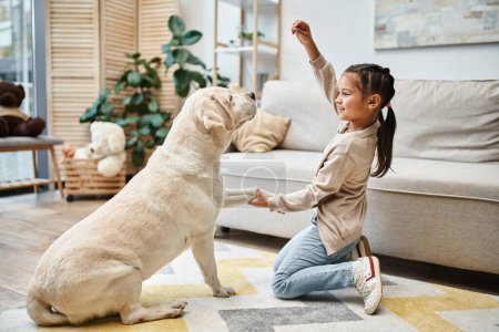 Mädchen im Grundalter lächelt und spielt mit Labrador im modernen Wohnzimmer, Kind verwöhnt Hund