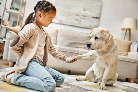 cute labrador giving paw to elementary age girl in casual wear in modern living room, kid and dog