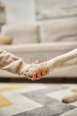 labrador mignon donnant patte à la petite fille dans le salon moderne, plan recadré d'enfant et de chien