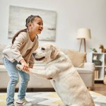 Cheerful girl in casual wear training labrador dig and laughing in modern living room, happy moment