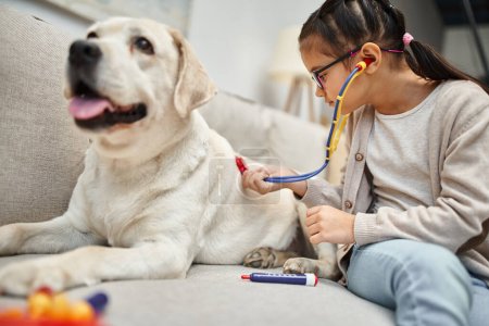 fröhliches Mädchen in Freizeitkleidung und Brille spielt Arzt mit Labrador-Hund auf Sofa im Wohnzimmer