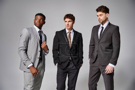 Téléchargez les photos : Beaux modèles masculins élégants et variés en affaires élégants costumes intelligents posant sur fond gris - en image libre de droit