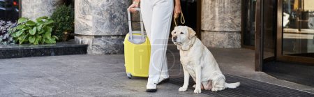 Foto de Pancarta recortada de la mujer con el perro y el equipaje de pie cerca de la entrada del hotel que acepta mascotas - Imagen libre de derechos
