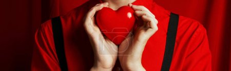 Téléchargez les photos : Vue recadrée du jeune homme tenant petit cœur dans ses mains sur fond rouge, bannière Saint-Valentin - en image libre de droit