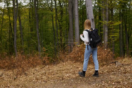 Vue arrière de femme blonde aventurière marchant dans la forêt à la découverte de nouveaux chemins