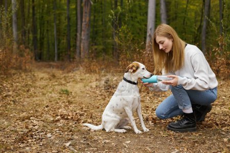 Liebevolle Hundehalterin geht mit Hund spazieren und gibt ihrem Haustier beim Trekking im Wald Wasser