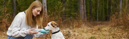 Foto de Pancarta de propietaria de perro hembra en paseo por el bosque con perro, dando agua a su mascota mientras caminan juntos - Imagen libre de derechos