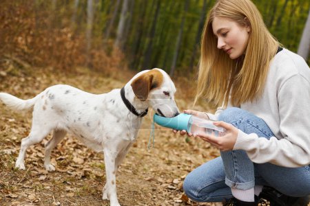 Foto de Amante mujer rubia excursionista dejando a su leal perro beber agua de la botella en el entorno del bosque - Imagen libre de derechos