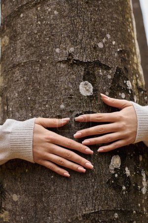 Zugeschnittenes Bild weiblicher Hände, die Baum sanft bei Wandertour in schönen Wald, Natur umarmen