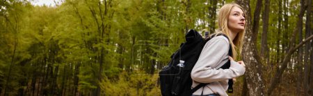 Téléchargez les photos : Vue latérale du touriste femme avec sac à dos au sentier pédestre dans les bois randonnée à la forêt d'automne, bannière - en image libre de droit