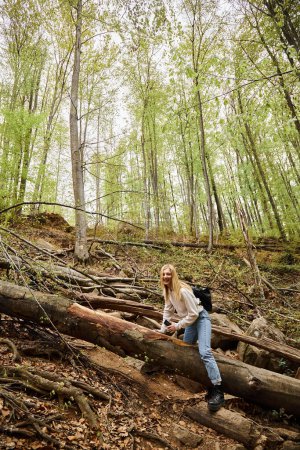 Riéndose alegre chica senderista rubia arrastrando la madera en el bosque mientras trekking, aventura