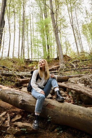 Téléchargez les photos : Femme saine active randonnée dans une belle forêt, jeune randonneuse blonde se reposant pendant le trekking - en image libre de droit