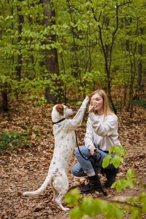 Foto de Mujer senderista sonriente con su perro de entrenamiento para mascotas mientras camina descanso con vista al bosque - Imagen libre de derechos