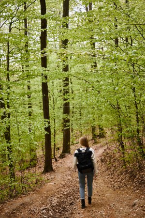 Foto de Vista trasera de larga duración de la mujer rubia caminando caminando en el bosque verde usando suéter y mochila - Imagen libre de derechos