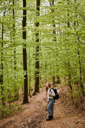 Foto de Tranquilo chica rubia relajada senderismo caminando en el bosque verde con suéter y mochila - Imagen libre de derechos