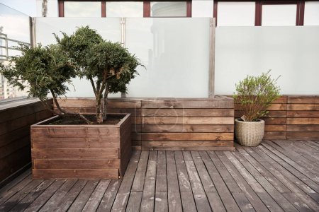 A small tree thrives in a wooden planter on a deck, adding natural beauty and serenity to the outdoor space