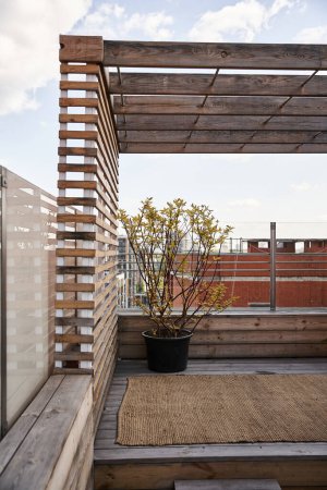 Ein ruhiger Balkon mit einer einsamen Topfpflanze auf dem Boden, die sich im Sonnenlicht sonnt