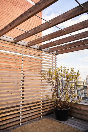 A peaceful balcony adorned with wooden slats and a flourishing potted plant