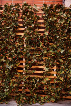 Une clôture en bois est entrelacée de vignes vertes luxuriantes, contrastant avec un mur de briques rustique dans un cadre extérieur charmant et fantaisiste