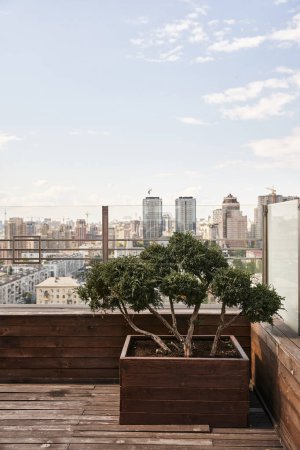 A vibrant tree gracefully thrives in a planter on a rustic wooden deck, bathed in sunlight and bringing nature into this urban space