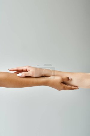 Zwei schöne, unterschiedliche Frauen, die einander die Hand reichen.