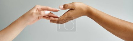 Téléchargez les photos : Deux belles femmes diverses se tiennent la main, les doigts enlacés dans une douce étreinte. - en image libre de droit