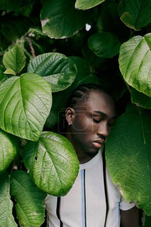 Téléchargez les photos : A stylish African American man stands poised with closed eyes amidst lush green leaves. - en image libre de droit