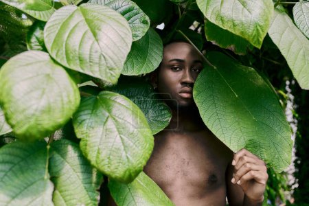 Téléchargez les photos : Homme sans chemise avec style dapper debout sous un arbre luxuriant dans un jardin animé. - en image libre de droit