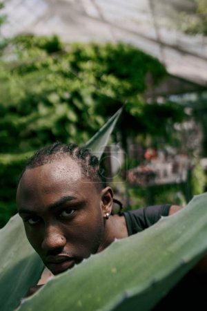 Téléchargez les photos : Un homme afro-américain sophistiqué avec dreadlocks se tient derrière une grande feuille vert vif dans un jardin. - en image libre de droit