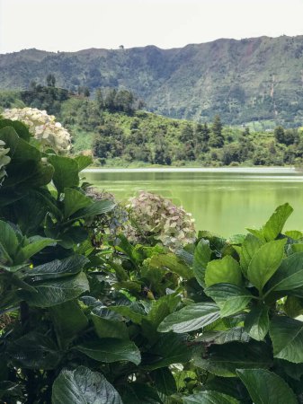 Grandes eaux de lac avec des fleurs ; adapté pour la nature et des conceptions à thème extérieur, cartes de souhaits et des projets à thème floral.