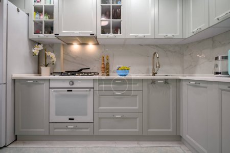 Foto de Nuevo interior de cocina moderno gris claro bien diseñado después de la renovación, vista frontal y cono - Imagen libre de derechos