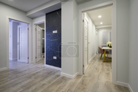 Téléchargez les photos : Vue du hall d'entrée à d'autres chambres en location appartement après rénovation - en image libre de droit