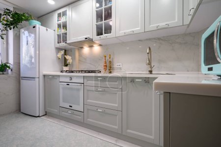 Foto de Nuevo interior de cocina moderno gris claro bien diseñado después de la renovación - Imagen libre de derechos