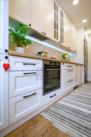 Foto de Acogedor interior de cocina moderna bien diseñada con electrodomésticos y alfombra - Imagen libre de derechos