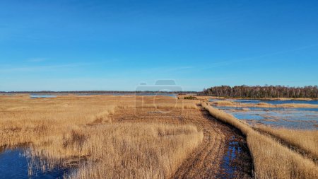 Wooden Bords Trail Through the Kaniera Lake Reeds Aerial Spring Shot Lapmezciems, Latvia. Frozen Lake and Baltic Sea in the Background. Early Spring in Latvia, Kemeri National Park. Slow Motion Shot