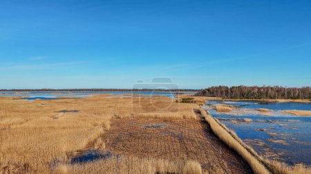 Sentier des cordes en bois à travers les roseaux du lac Kaniera Vue aérienne du printemps Lapmezciems, Lettonie. Lac gelé et mer Baltique en arrière-plan. Début du printemps en Lettonie, parc national Kemeri. Prise de vue au ralenti