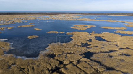 Waldlehrpfad durch das Schilf des Kaniera-Sees Aerial Spring Shot Lapmezciems, Lettland Im Hintergrund zugefrorene See und Ostsee. Vorfrühling in Lettland, Nationalpark Kemeri. Schuss in Zeitlupe