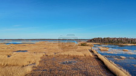 Wooden Bords Trail Through the Kaniera Lake Reeds Aerial Spring Shot Lapmezciems, Latvia. Frozen Lake and Baltic Sea in the Background. Early Spring in Latvia, Kemeri National Park. Slow Motion Shot