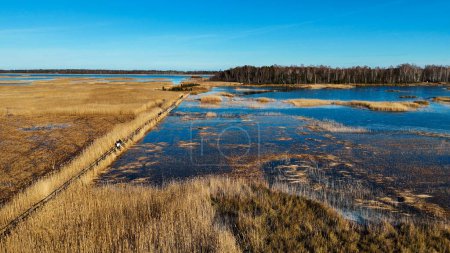 Sentier des cordes en bois à travers les roseaux du lac Kaniera Vue aérienne du printemps Lapmezciems, Lettonie. Lac gelé et mer Baltique en arrière-plan. Début du printemps en Lettonie, parc national Kemeri. Prise de vue au ralenti