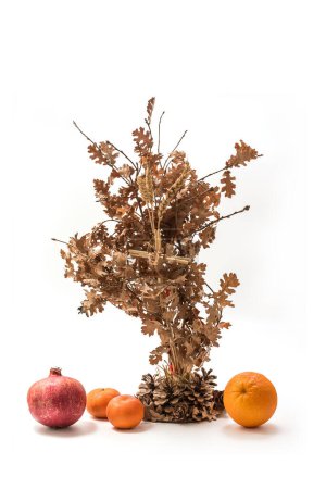 Photo for Orthodox Christian celebration - Badnjak with fruits. Serbian Christmas - Bozic. Badnjak grain and straw, isolated on white background with Clipping Path included - Royalty Free Image