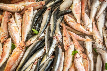 Téléchargez les photos : Sardines à vendre, marché aux poissons à Palerme, Sicile, Italie. - en image libre de droit