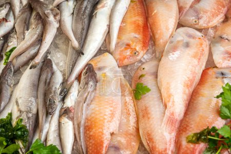 Téléchargez les photos : Poisson de mer frais, marché aux poissons à Palerme, Sicile, Italie. - en image libre de droit