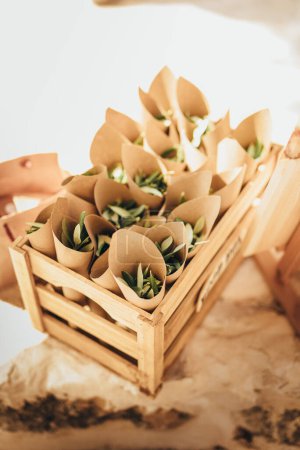 Foto de Conos de papel con hojas de olivo instados de confeti de papel - Imagen libre de derechos