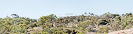  Una vista panorámica de las tierras arbustivas con vistas al agua en Seal Bay, Australia Meridional